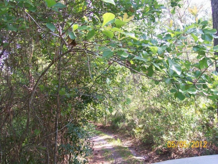 2012-May-05_HGR4X4_Richloam 116